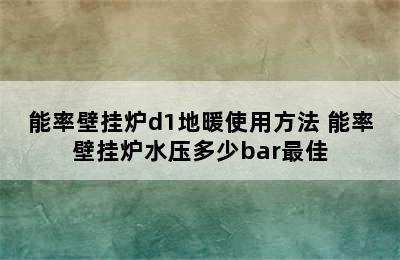 能率壁挂炉d1地暖使用方法 能率壁挂炉水压多少bar最佳